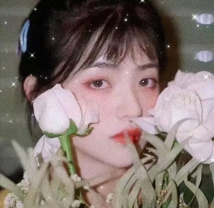 沙之花也有春天